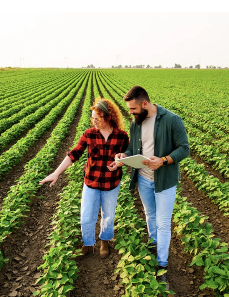 Who-Can-Benefit-from-Agriculture-ERP-Solutions